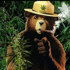 Meet your Posher, Ralph